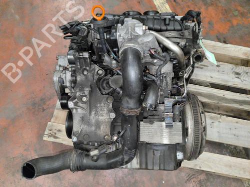 Engine AUDI A3 Sportback (8PA) 2.0 TDI | BP39228561M1 - Image 5