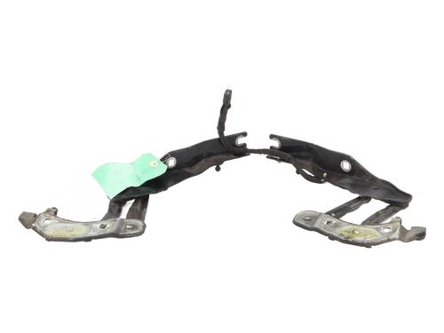Hinge/Door check strap AUDI A1 (8X1, 8XK) 1.6 TDI | BP20367621C146