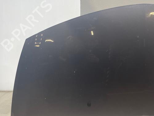 hood-renault-clio-iii-br01-cr01-2005-2006-2007-2008-2009-2010-2011-2012-2013-2014-36314436 main image