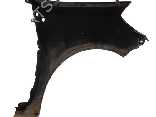 Left front fenders RENAULT CLIO III (BR0/1, CR0/1) 1.5 dCi (C/BR0G, C/BR1G) | BP29560316C41 