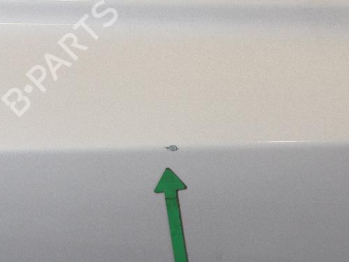 Right front door RENAULT KOLEOS I (HY_) 2.0 dCi 4x4 (HY0K) | BP25603743C3 