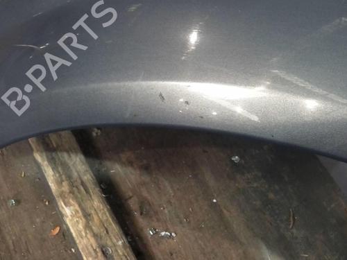 Left front fenders RENAULT MEGANE II Estate (KM0/1_) 1.9 dCi | BP20362007C41 