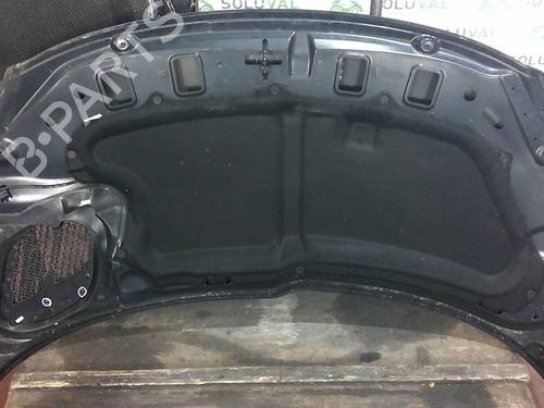 Used Hood PEUGEOT 206+ (2L_, 2M_) 1.4 HDi eco 70 (68 hp) 20368533