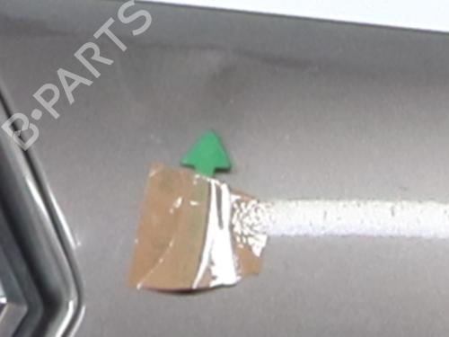 Used Hood Hood RENAULT LAGUNA III (BT0/1) 1.5 dCi (BT00, BT0A, BT0T, BT1J) (110 hp) 32199872 32199872