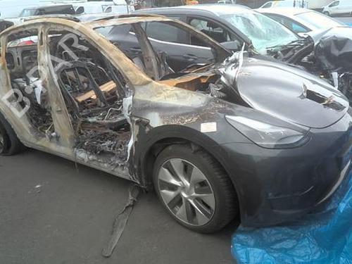 Brugte TESLA MODEL Y (5YJY)  EV All-wheel Drive  4838205