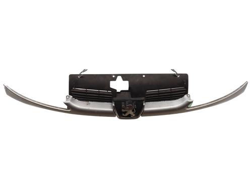 Gitter für PEUGEOT 206 Hatchback (2A/C) 1.4 HDi eco 70 (68 hp) 28103555