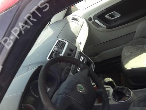Right rear door SKODA FABIA II (542) 1.4 TDI | BP20370023C5 