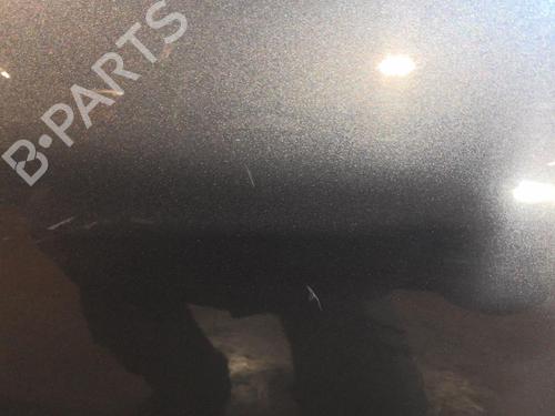 Left front door PEUGEOT 206+ (2L_, 2M_) 1.4 HDi eco 70 | BP20358415C2 