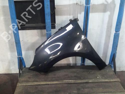 Left front fenders RENAULT SCÉNIC III (JZ0/1_) 1.5 dCi | BP20359128C41 