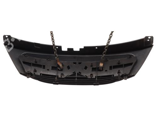 Grill CITROËN C3 I (FC_, FN_) 1.4 HDi | BP29896838C40