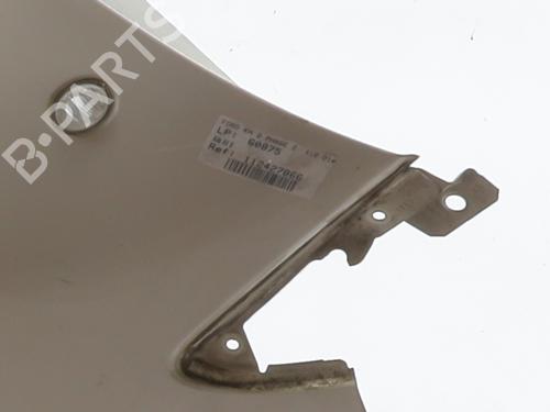 Right front fenders FORD KA (RU8) 1.3 TDCi | BP29292246C42 