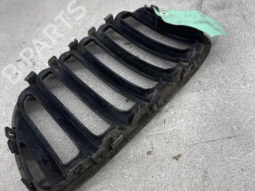Grill BMW X5 (E53) 3.0 d | BP35902057C40 - Image 3