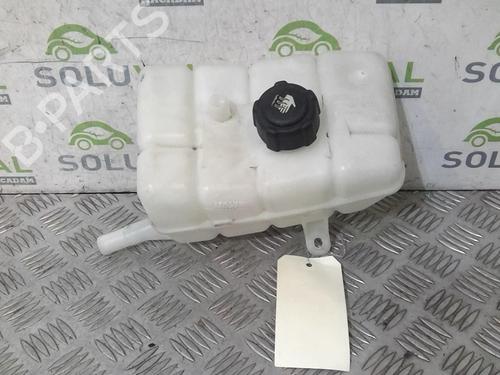 Used Expansion tank RENAULT SCÉNIC IV (J9_) 1.7 Blue dCi 120 (J9A7, J9A8) (120 hp) 20727416