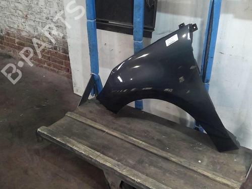 Left front fenders RENAULT SCÉNIC III (JZ0/1_) 1.5 dCi | BP20359128C41 