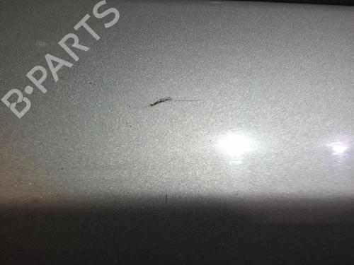 Used Right front door RENAULT LAGUNA II (BG0/1_) 1.9 dCi (BG08, BG0G) (120 hp) 20369871