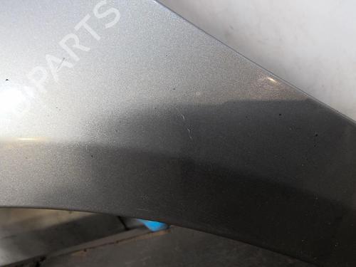 Guarda-lamas esquerdo Guarda-lamas esquerdo MERCEDES-BENZ B-CLASS Sports Tourer (W245) B 180 CDI (245.207) (109 hp) 20354579 20354579