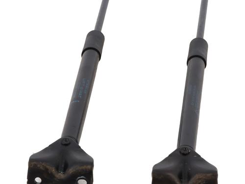 Tailgate lift support RENAULT SCENIC E-TECH PHASE I EV87 | BP22005555C138 