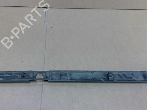 Door moulding trim RENAULT CLIO III (BR0/1, CR0/1) 1.4 16V | BP29041899C150 