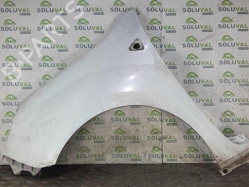 Used Left front fenders RENAULT KANGOO Express (FW0/1_) 1.5 dCi 75 (FW07, FW10, FW04) (75 hp) 22003038