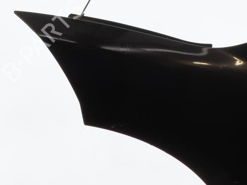 Left front fenders RENAULT MEGANE III Grandtour (KZ0/1) 1.5 dCi (KZ09, KZ0D, KZ1G, KZ29, KZ14, KZ1W, KZ10, KZ1F,... | BP27641678C41