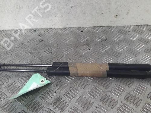 Tailgate lift support OPEL MERIVA B MPV (S10) 1.7 CDTI (75) | BP20359588C138 