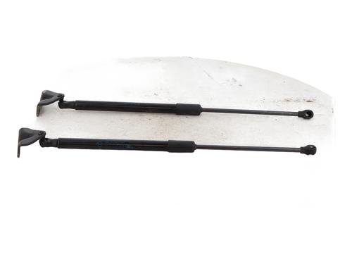 Tailgate lift support RENAULT SCENIC E-TECH PHASE I EV87 | BP22005555C138 
