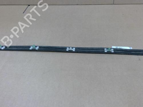 Door moulding trim BMW 3 (E46) 318 d | BP29082680C150 