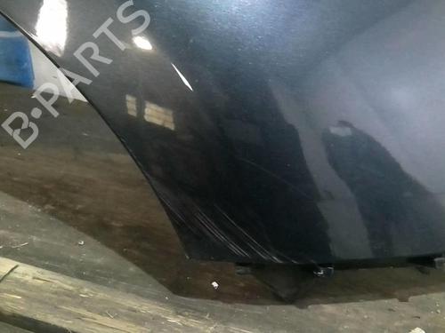 Right front fenders RENAULT SCÉNIC III (JZ0/1_) 1.5 dCi | BP20359129C42 