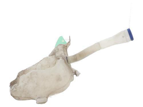 Windscreen washer tank PEUGEOT 307 (3A/C) 1.6 16V | BP24300702C113 