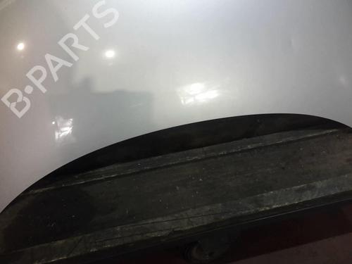 Used Hood RENAULT SCÉNIC III (JZ0/1_) 1.9 dCi (JZ0J, JZ1J, JZ1K, JZ1S) (131 hp) 22002525