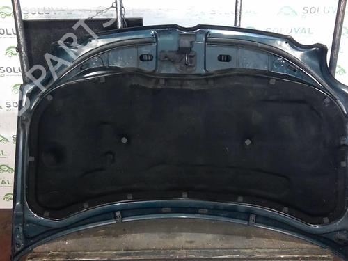 Hood VW POLO IV (9N_, 9A_) 1.4 TDI | BP22003849C1 