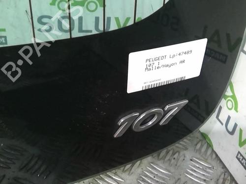 Tailgate PEUGEOT 107 (PM_, PN_) 1.0 | BP20932788C6 