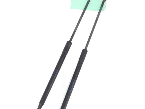 tailgate-lift-support-bmw-1-f21-2011-2012-2013-2014-2015-2016-2017-2018-2019-30261789 main image