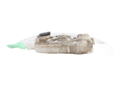 Windscreen washer tank DACIA SANDERO 1.4 (BS0C, BS0A, BS0G, BS1F, BS0E) | BP25900113C113