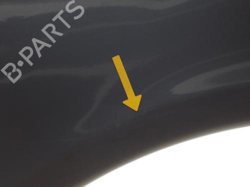 Right front fenders CITROËN XSARA PICASSO (N68) 1.6 HDi | BP22919057C42