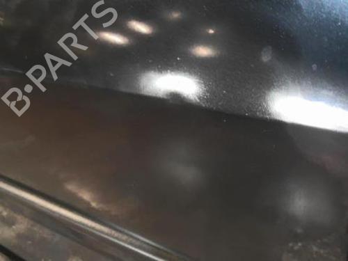 Right front door RENAULT SCÉNIC II (JM0/1_) 1.9 dCi (JM14) | BP20354113C3 