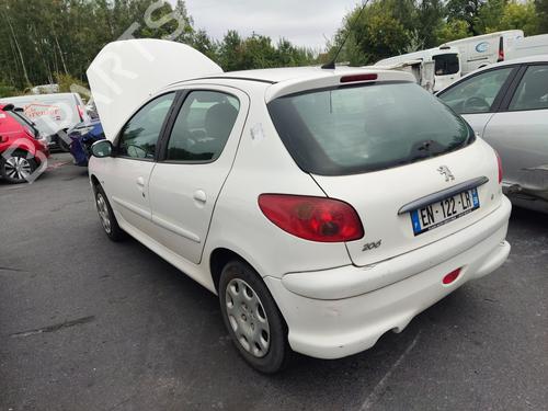 Rear left door window PEUGEOT 206 Hatchback (2A/C) 1.4 HDi eco 70 | BP29196931C20 