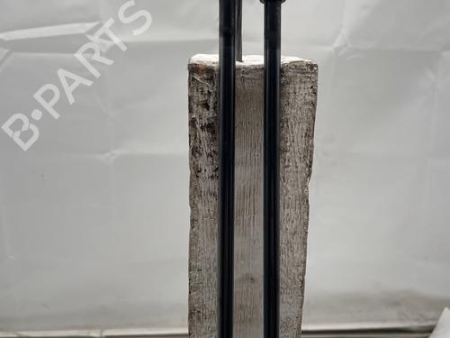 Gassdemper Bakluke Gassdemper Bakluke RENAULT SCÉNIC III (JZ0/1_) [2008-2016] 36423724 36423724