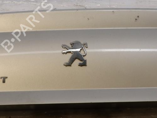 Used Tailgate PEUGEOT 407 (6D_) 1.6 HDi 110 (6D9HZC, 6D9HYC) (109 hp) 29014591