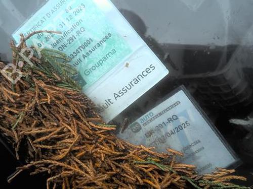 Front right seatbelt RENAULT ZOE (BFM_) ZOE | BP23788939I25 - Image 17