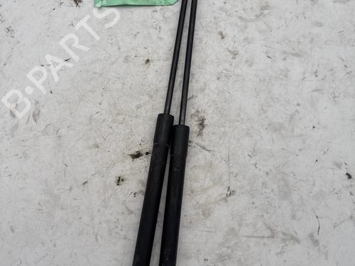 tailgate-lift-support-citroen-c3-ii-sc_-2009-35939689 main image