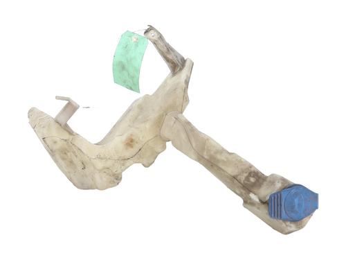 Windscreen washer tank VW PASSAT B5.5 (3B3) 1.9 TDI | BP24374726C113 