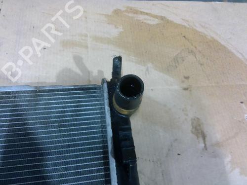 Used Water radiator Water radiator NISSAN JUKE (F15) 1.5 dCi (110 hp) 32124934 32124934