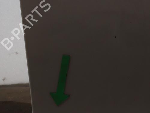 Right front door RENAULT CLIO III (BR0/1, CR0/1) 1.5 dCi (C/BR0G, C/BR1G) | BP22005049C3 
