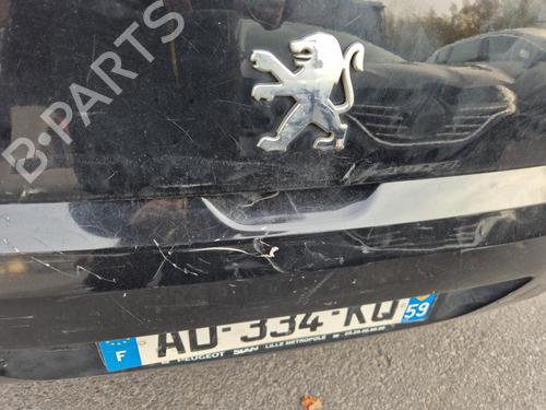 Hinge/Door check strap PEUGEOT 308 I (4A_, 4C_) 1.6 HDi | BP30715656C146