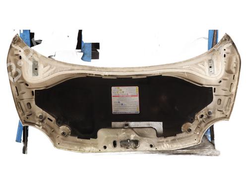 Capot Capot FIAT 500 (312_) 1.3 D Multijet (312AXB1A) (75 hp) 25701884 25701884