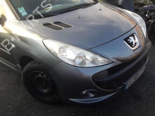 Right front door PEUGEOT 206+ (2L_, 2M_) 1.1 | BP22002772C3