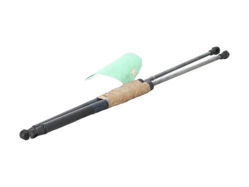 tailgate-lift-support-citroen-c4-cactus-2014-27266698 main image