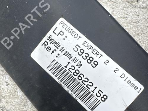 door-moulding-trim-peugeot-expert-van-vf3a_-vf3u_-vf3x_-2007-36955802 main image