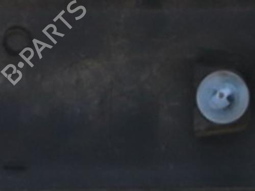 Door moulding trim RENAULT KANGOO Express (FW0/1_) 1.5 dCi 70 (FW0A, KW0V) | BP21563255C150 